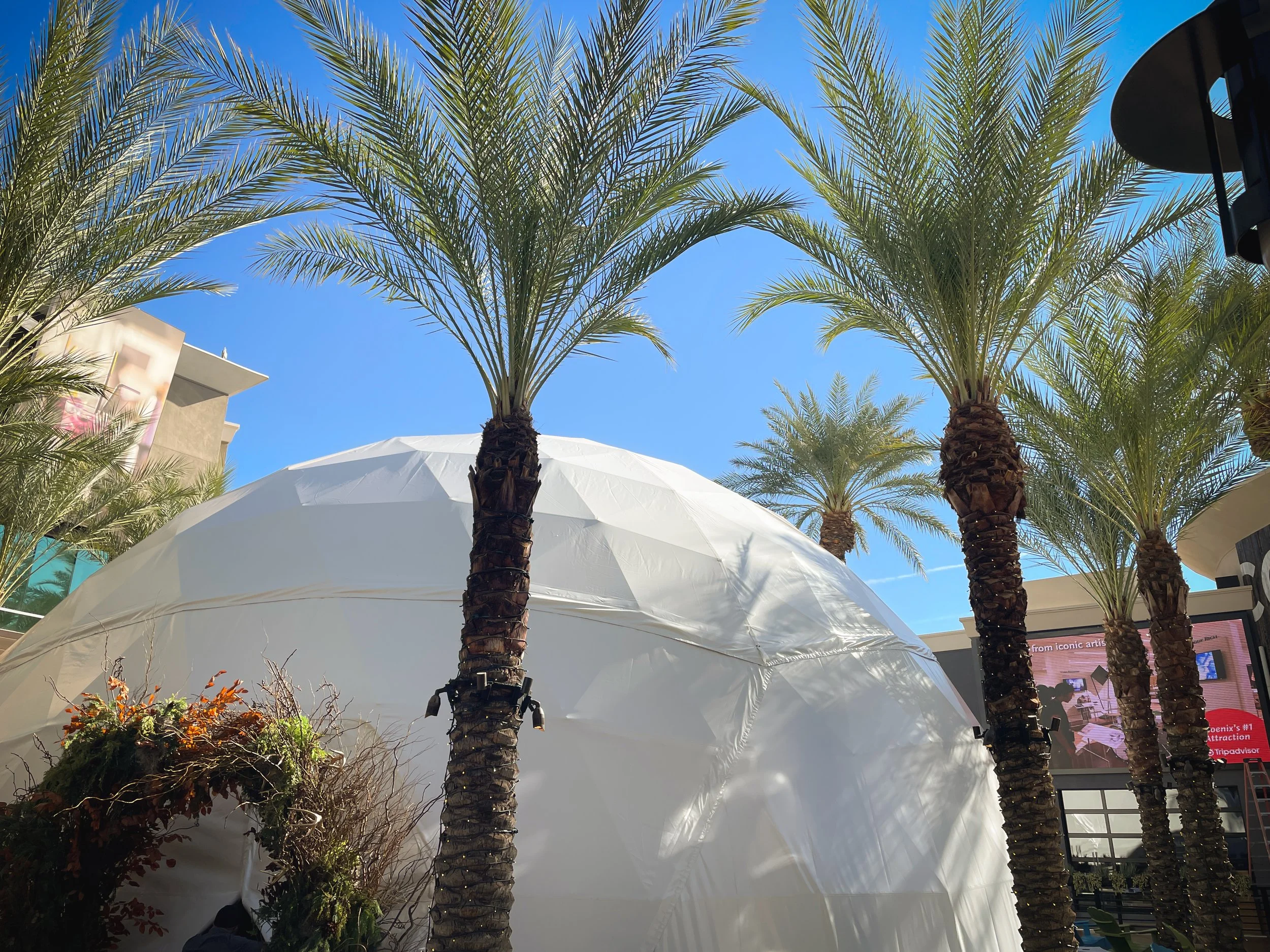 DOMES: FRAMED OR SEAMLESS