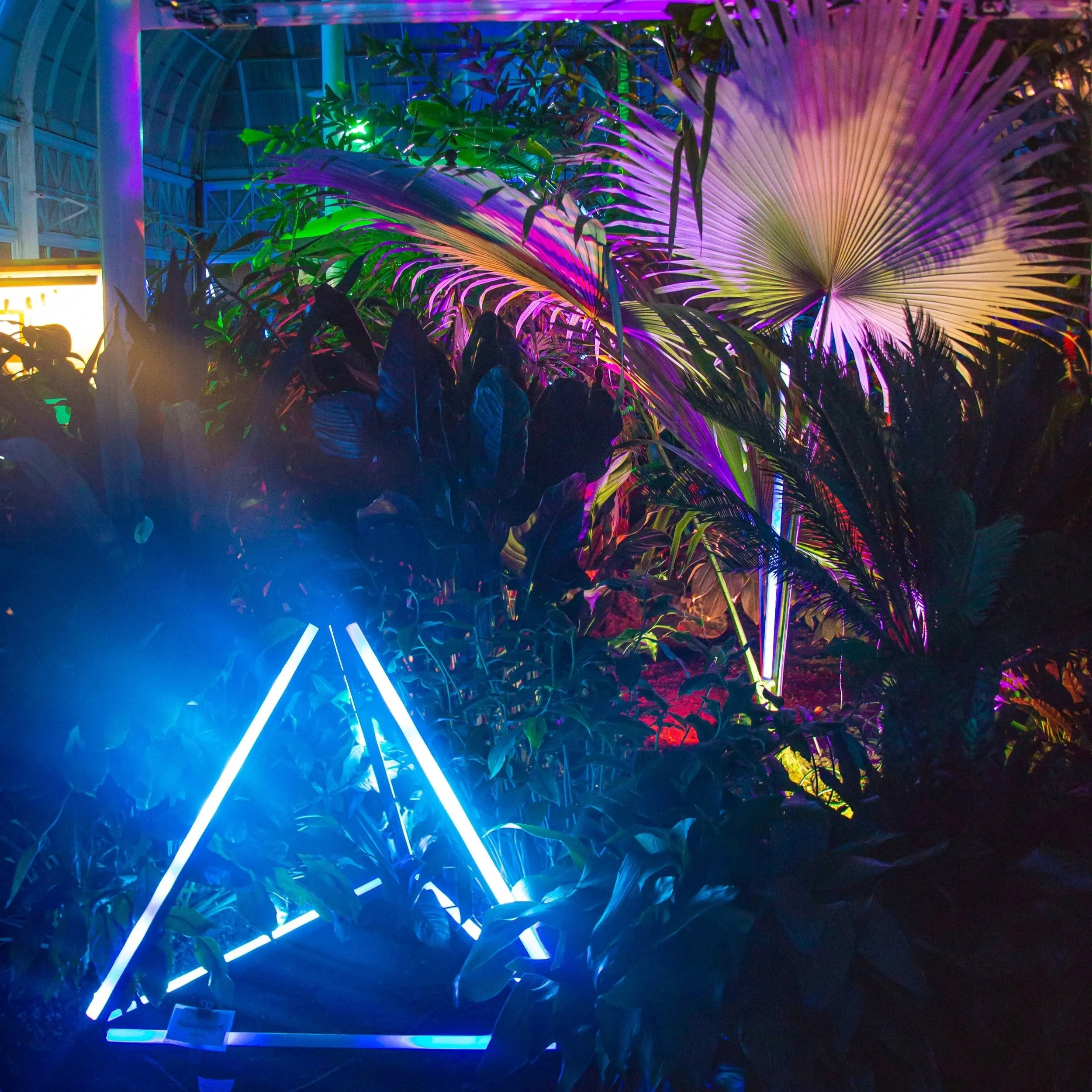 LUSIO LIGHTS