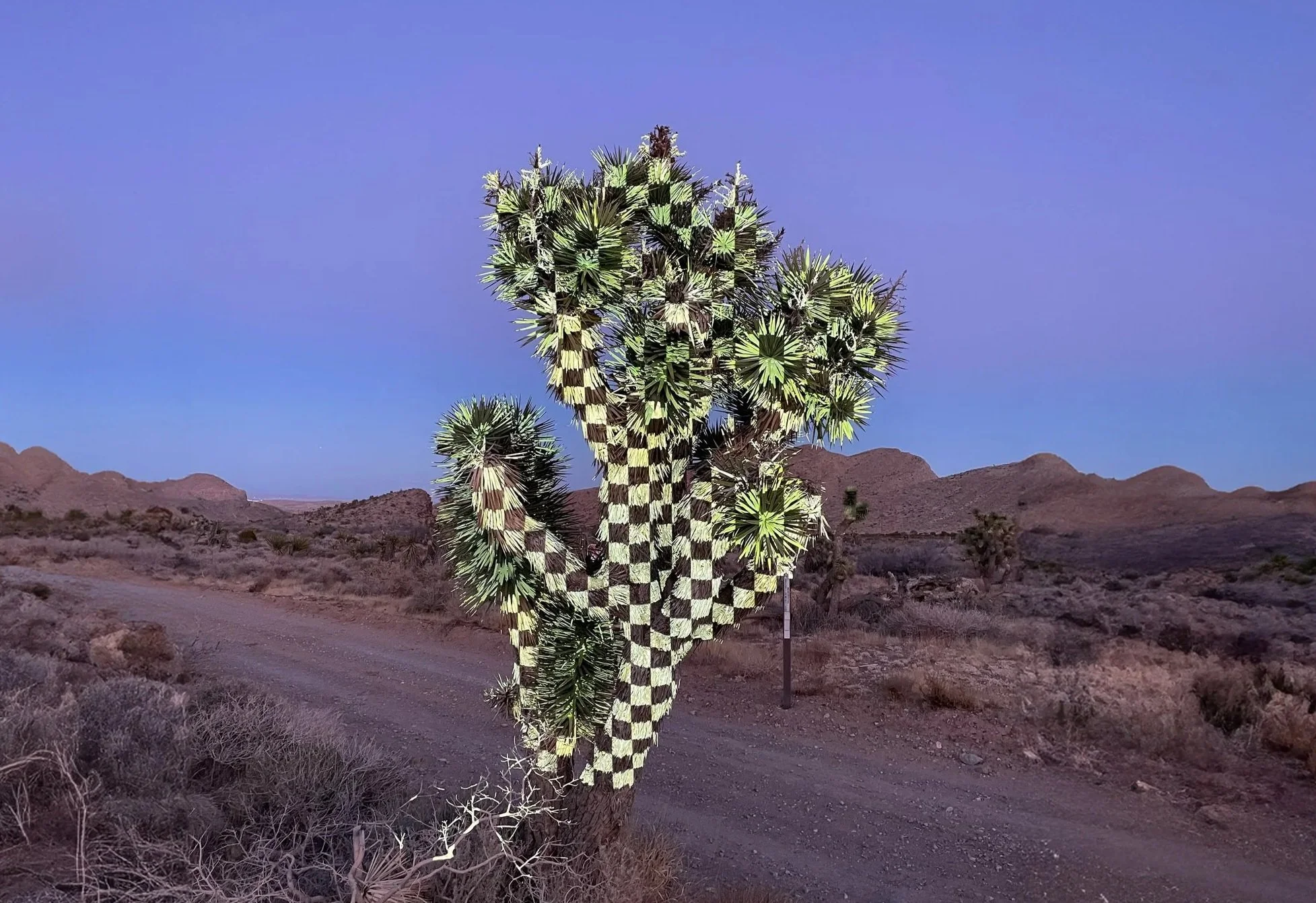 JOSHUA TREE MAPPING