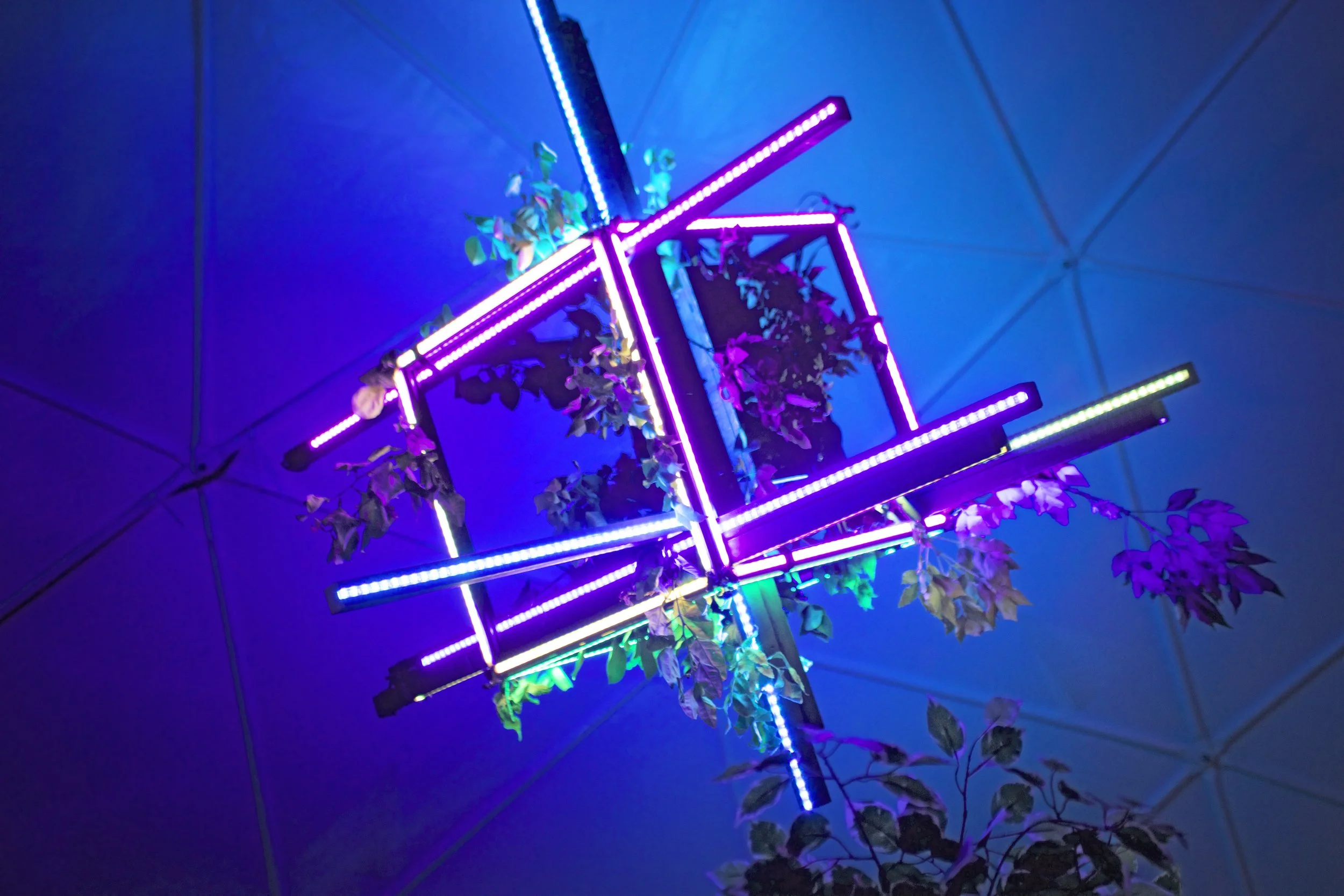 LED light sculpture with hanging plants under The Sensatorium dome ceiling in Mesa, Arizona, purple bars crossing overhead.