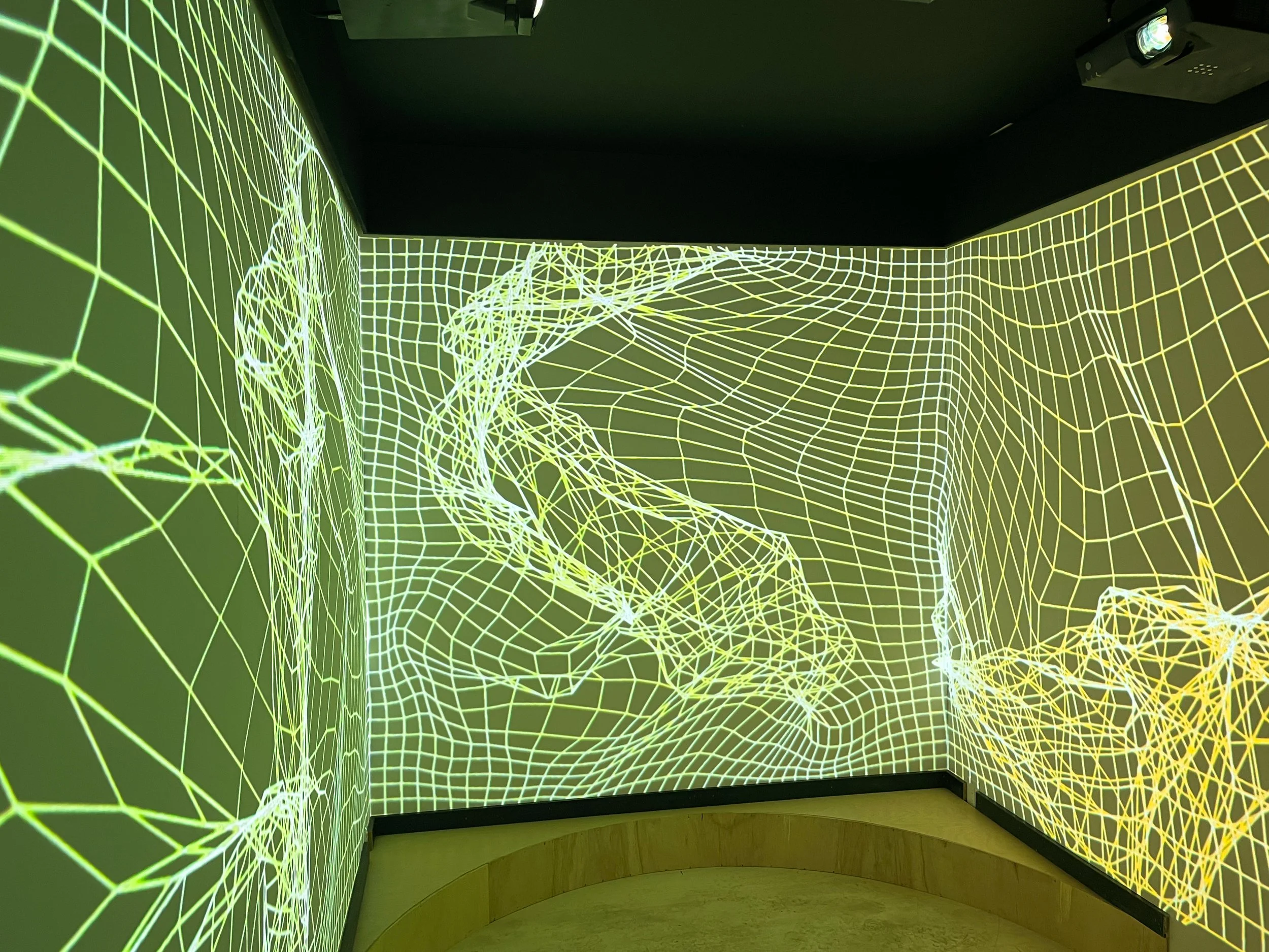 Immersive Shipping Container projection mapping at Burning Man, green wireframe mesh warping the steel walls.