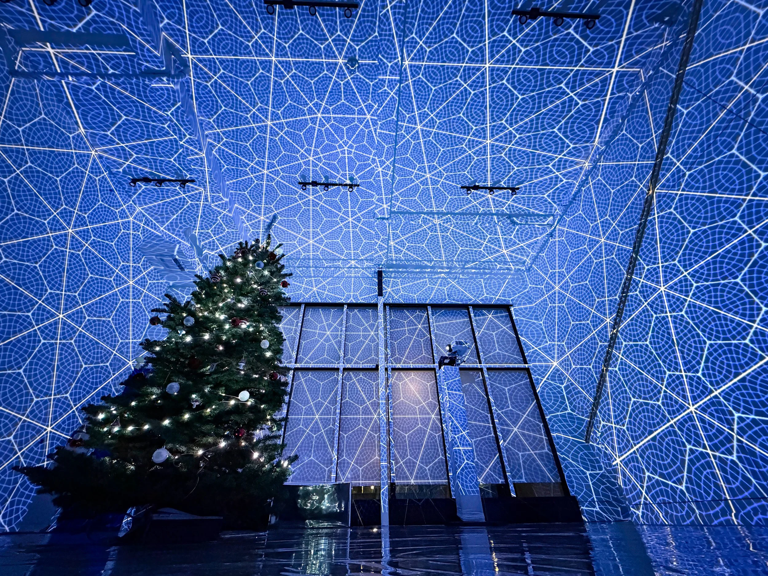 Polaris immersive projection mapping at Art Revel Gallery Boise, blue geometric webbing across walls and ceiling.