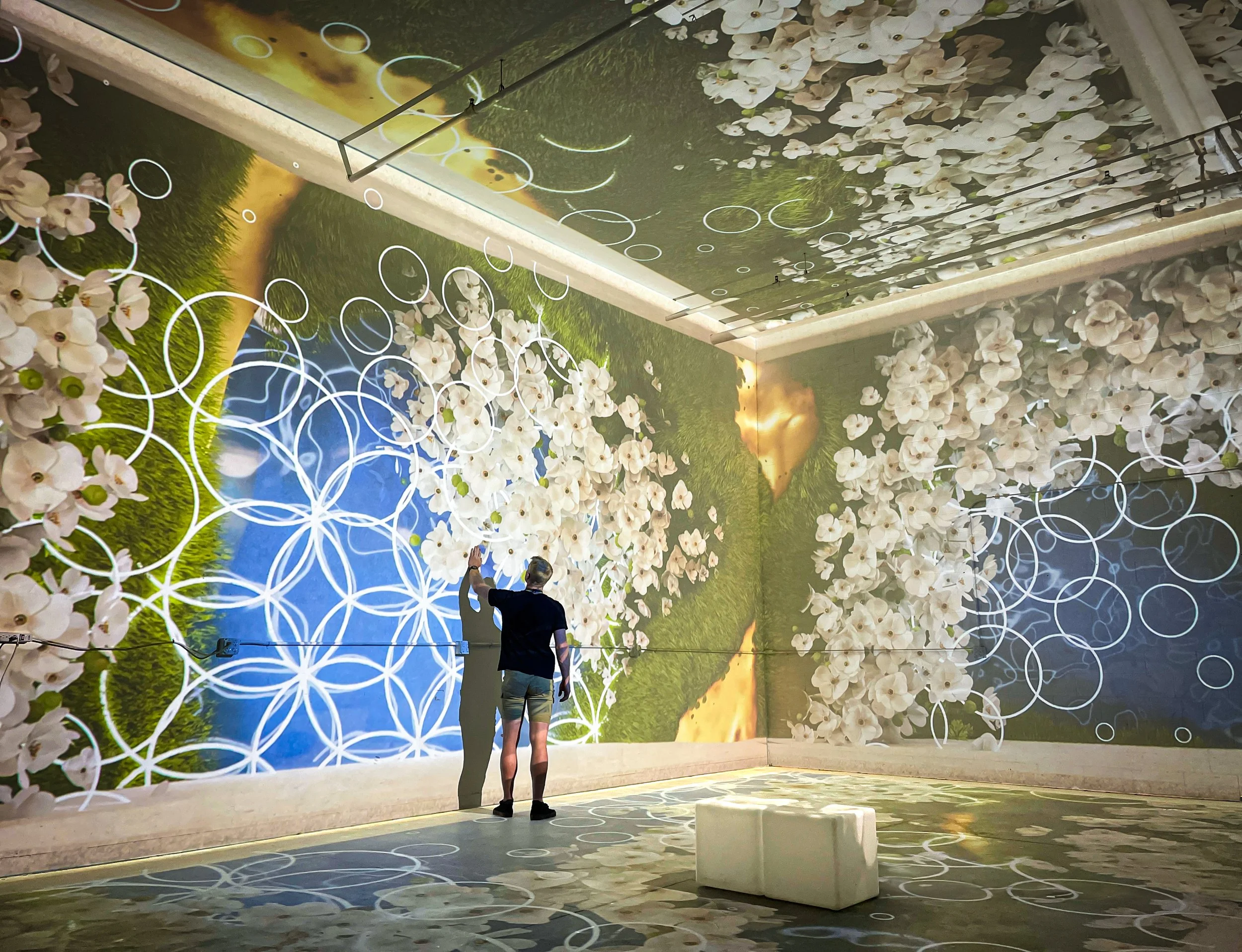 In studio immersive projection room by NOVA Light Labs, 2 guests amid dogwood blooms and geometric rings.