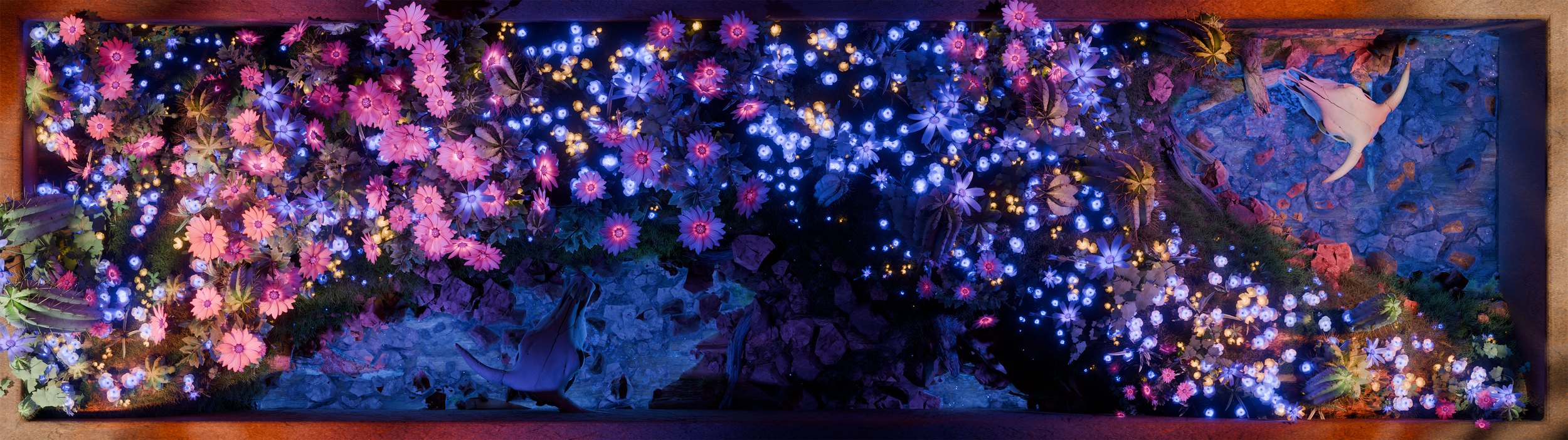 Ultrawide desert flower scene by NOVA Light Labs for Idle Hands Phoenix, illuminated blooms and skulls in a stone border