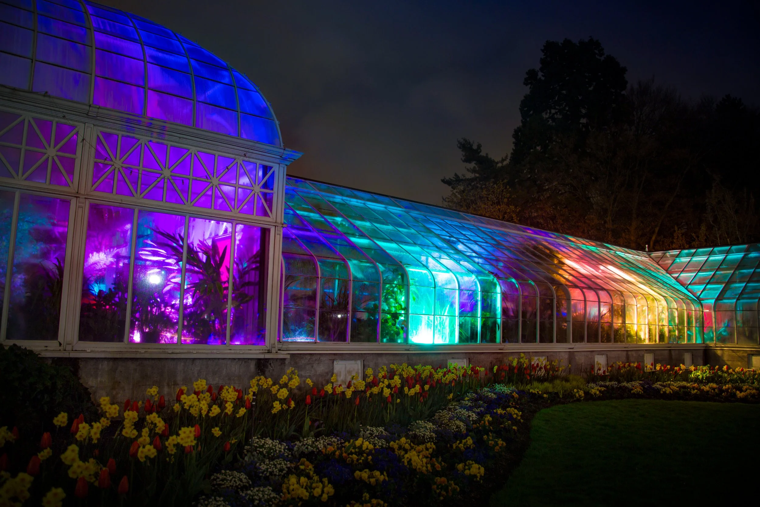 lusio-lights-seattle-lighting-event-seattle-washington-volunteer-park-botanical-garden-conservatory-nova-light-labs-hero-1.jpg