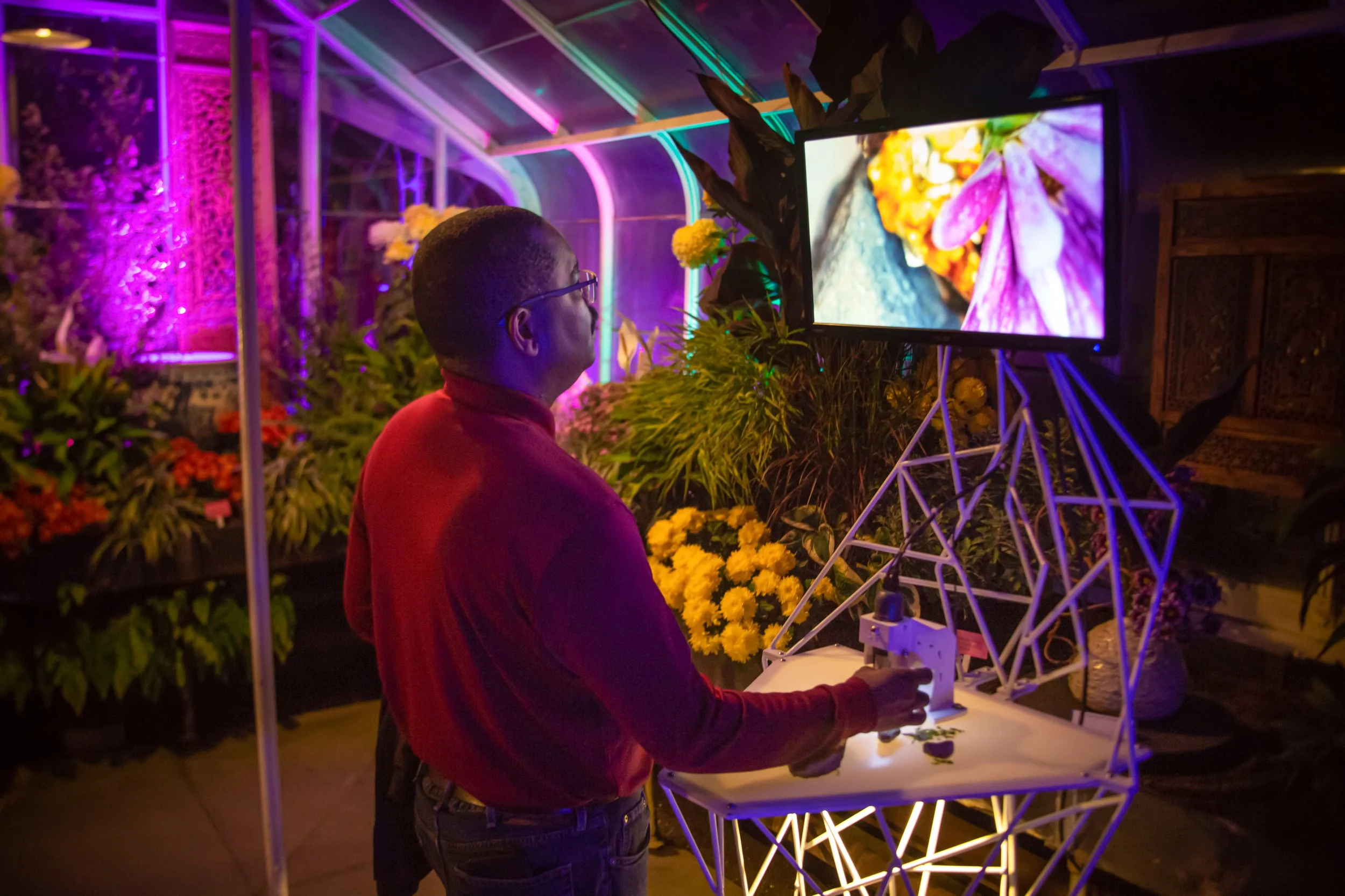 Guest adjusts the Microscopia microscope at LUSIO Lights, a magnified flower filling the overhead screen in the glasshouse.