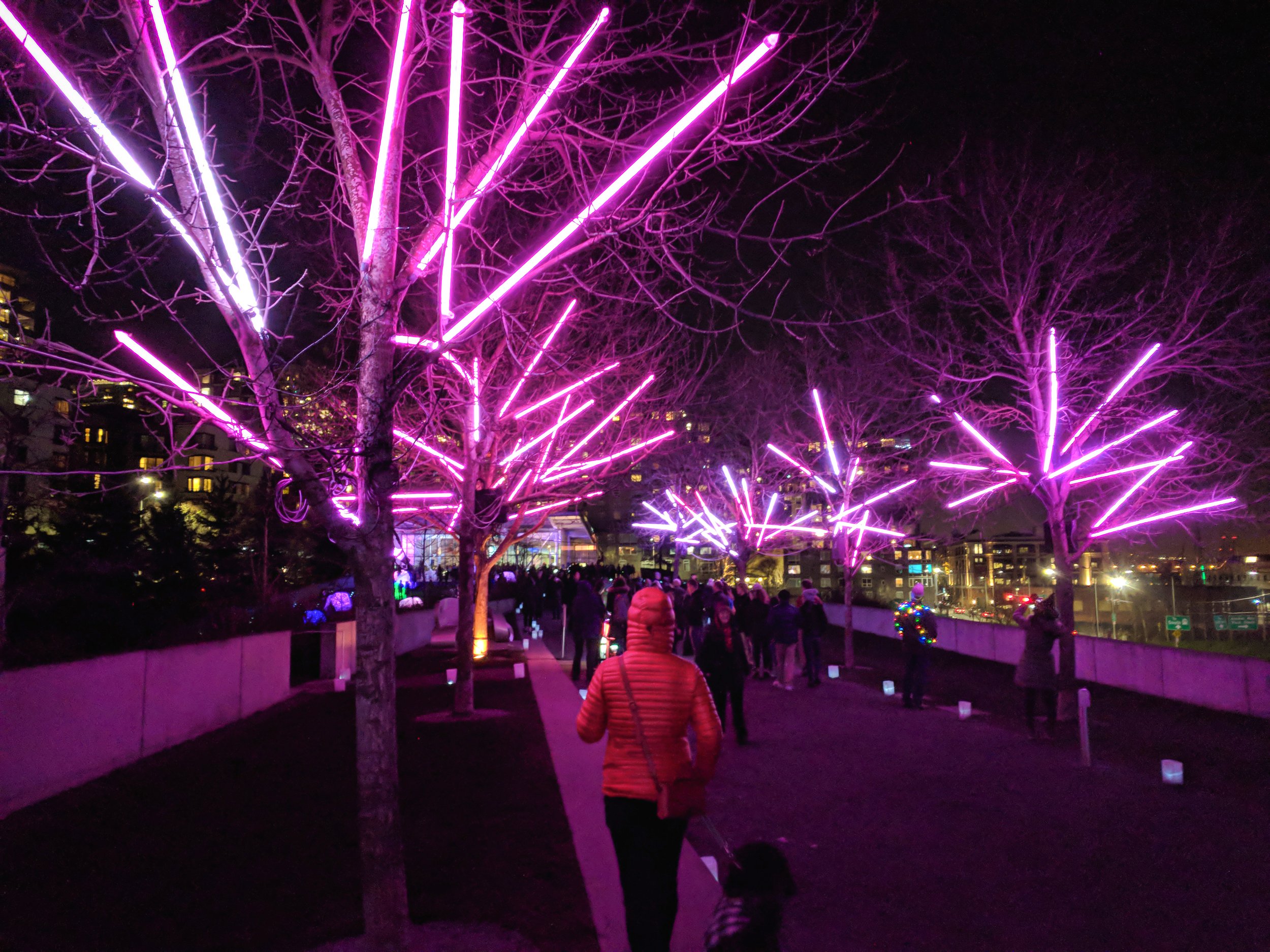 SAM Lights 2017 lighting design at Seattle Olympic Sculpture Park, pink lit trees over the walkway