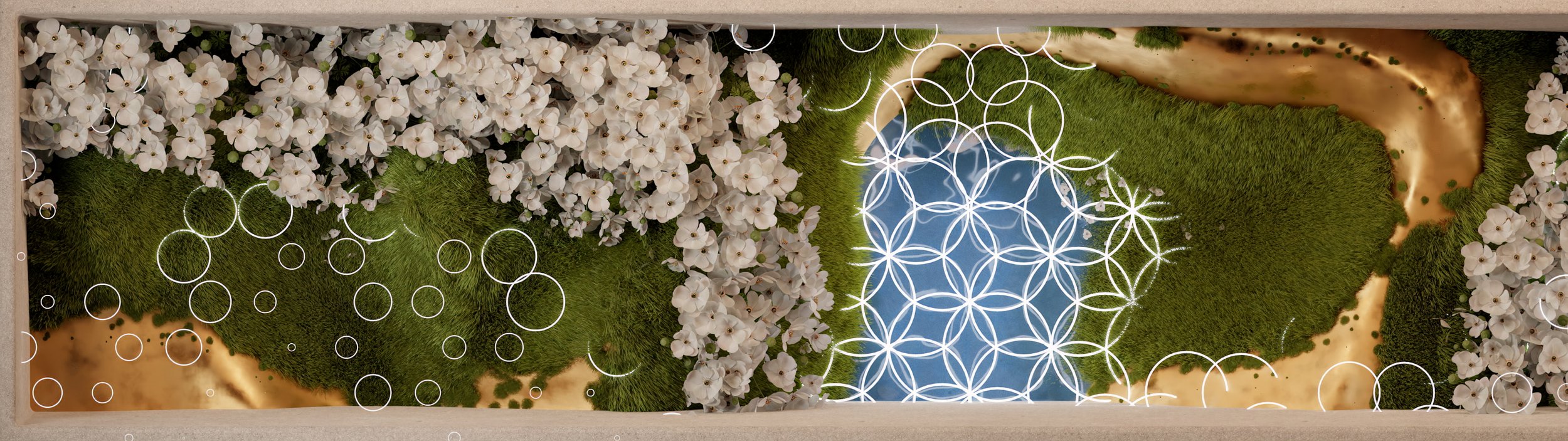 JUMP ILLUMIBRATE 2024 custom visuals, white blossoms and sacred geometry drifting over a mossy landscape