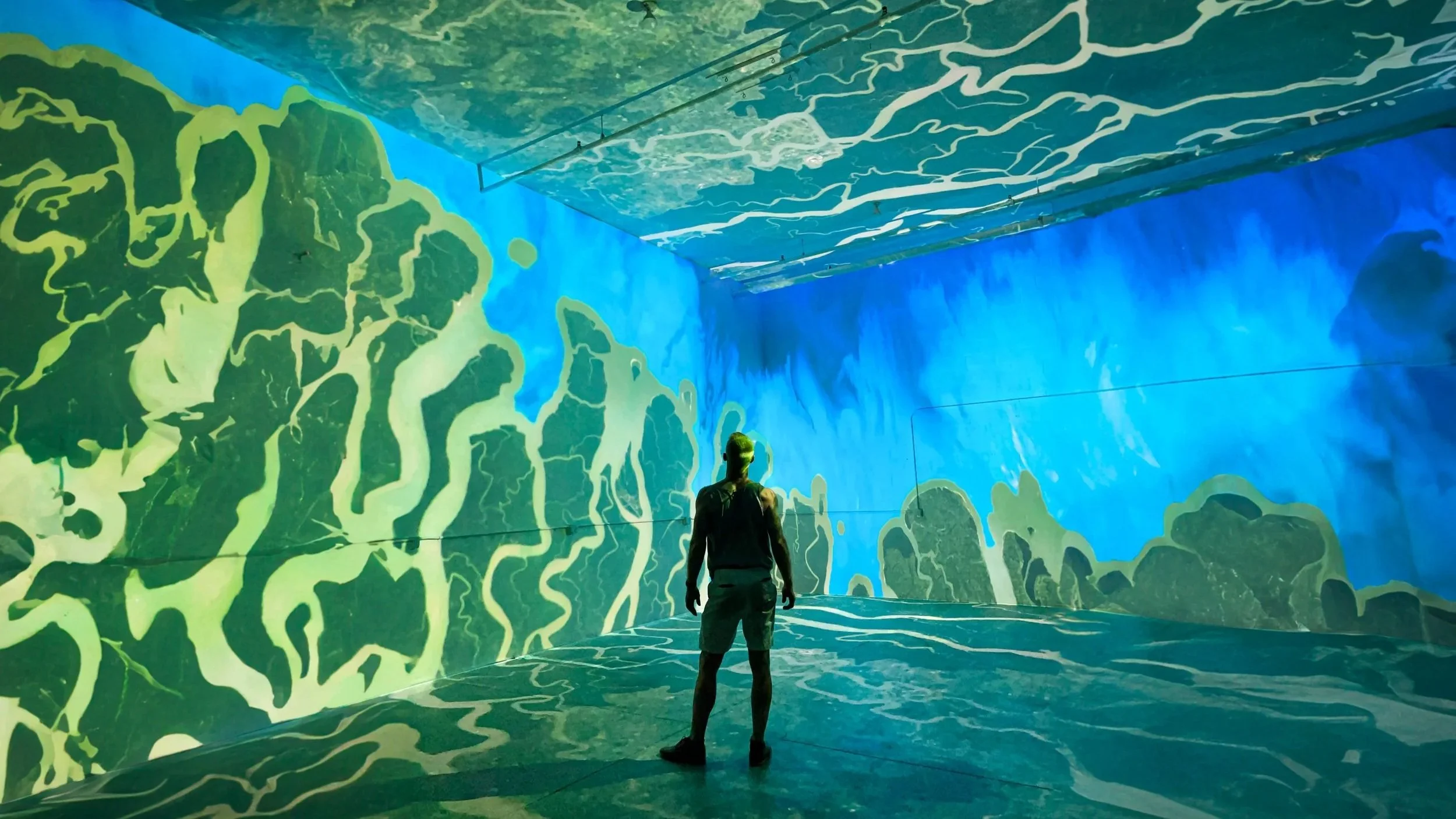 Immersive projection room, aerial river delta in blue and green covering 4 walls, ceiling, and floor around a lone guest.