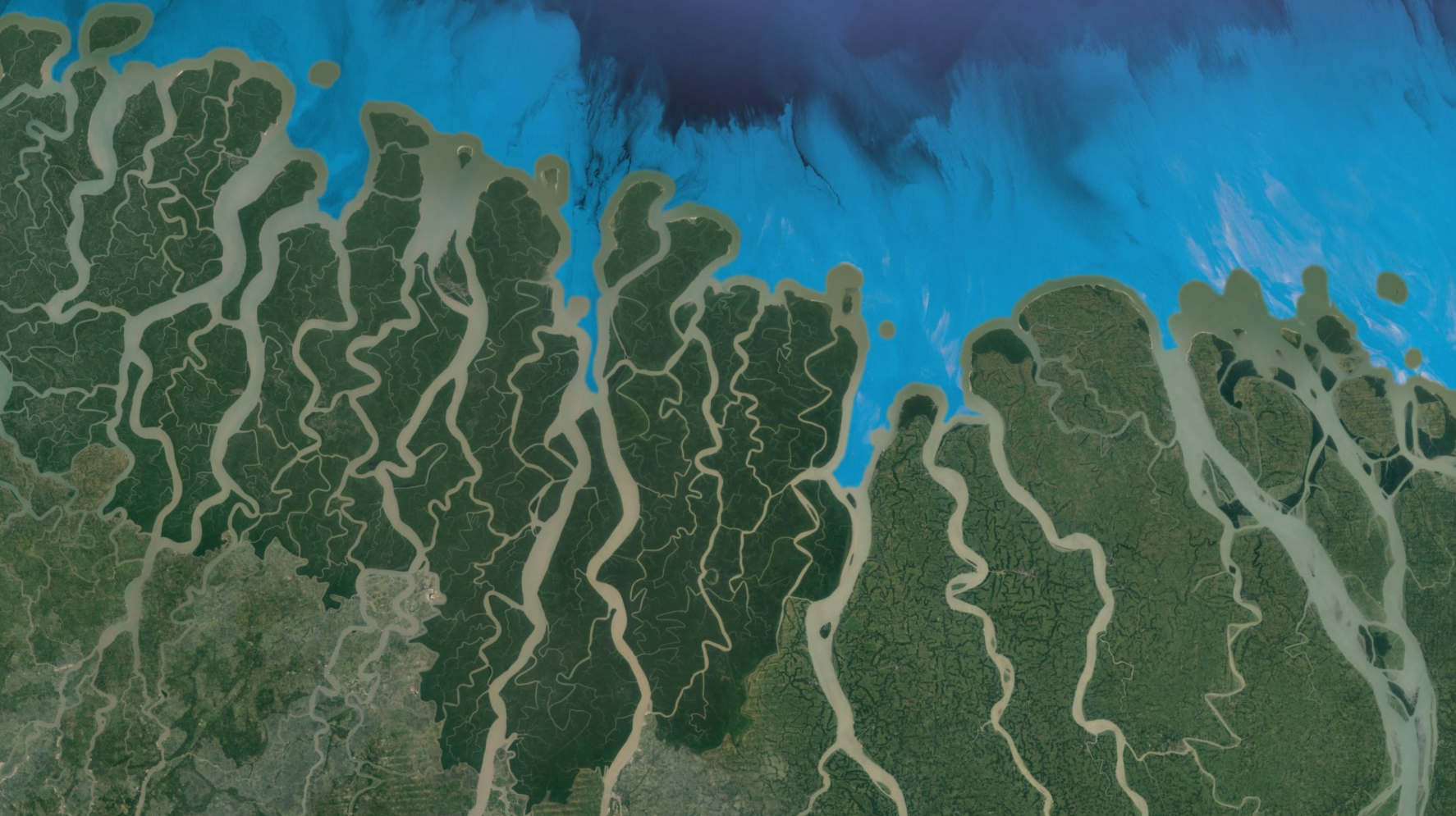 Custom visuals for NOVA Light Labs immersive projection room, aerial river delta braided in green channels.