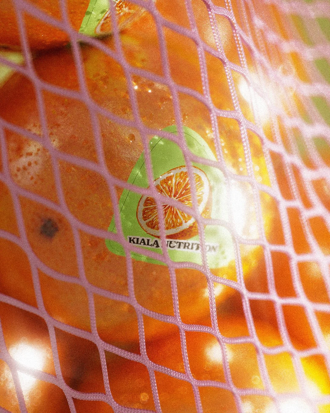 2e7a3ce0-926d-485f-ba4c-77c29295158d.jpg