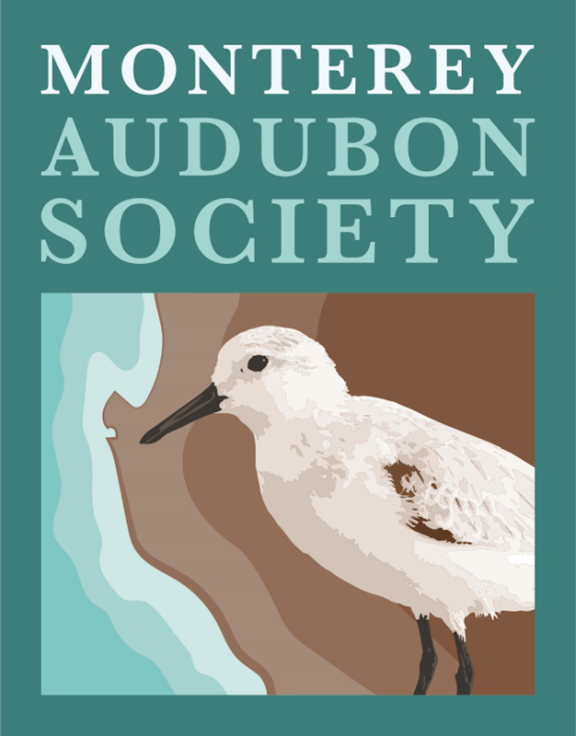 Let’s Go Birding with the Monterey Audubon Society