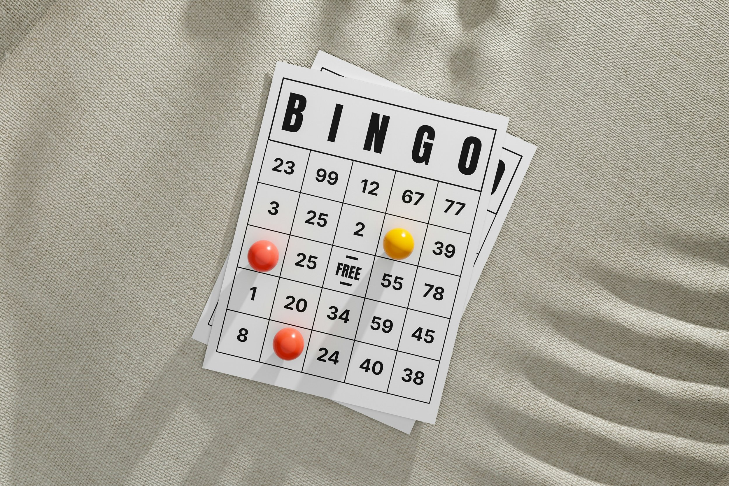 Bingo is Back!