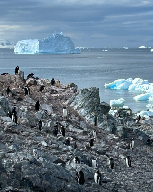 Travel Sharing for Avid World Voyagers: Antarctica &amp; Argentina