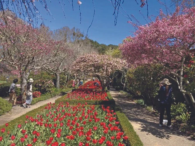 Filoli Historic House and Garden Mansion (Apr 14)