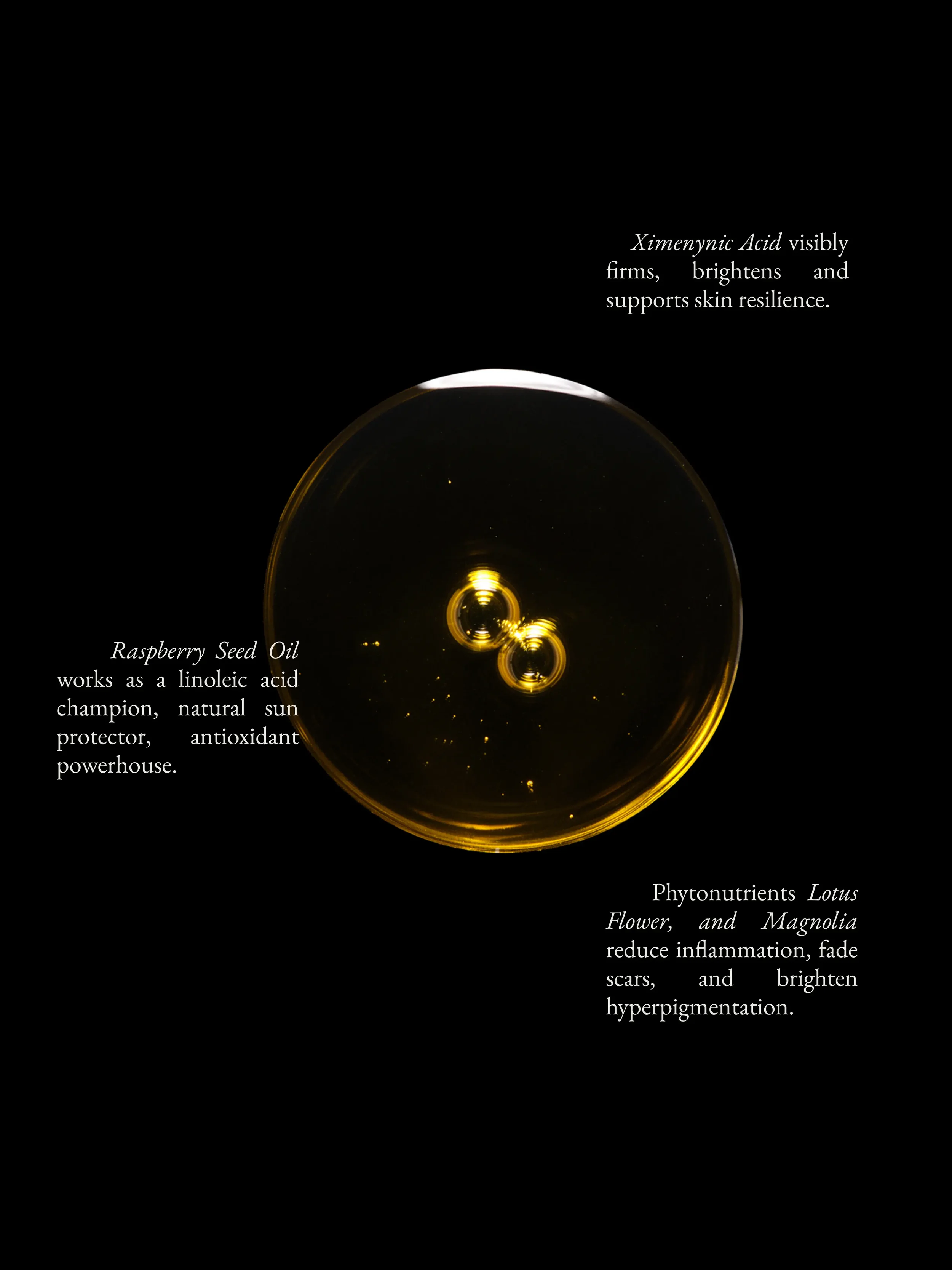 Gold.webp