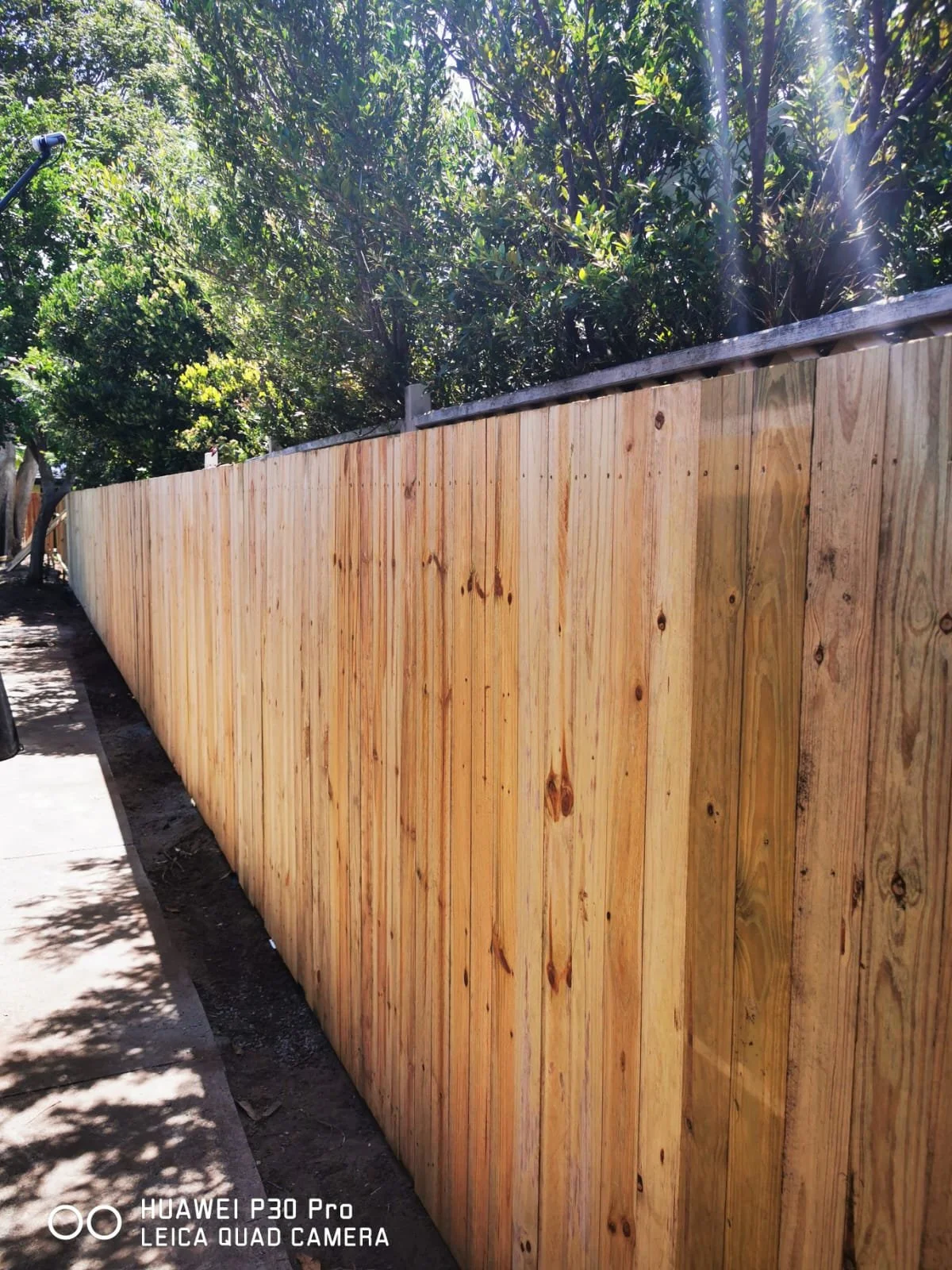 timber fence 3.jpg