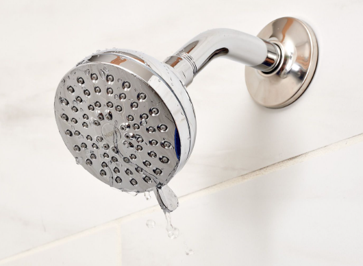 leaking shower head.png