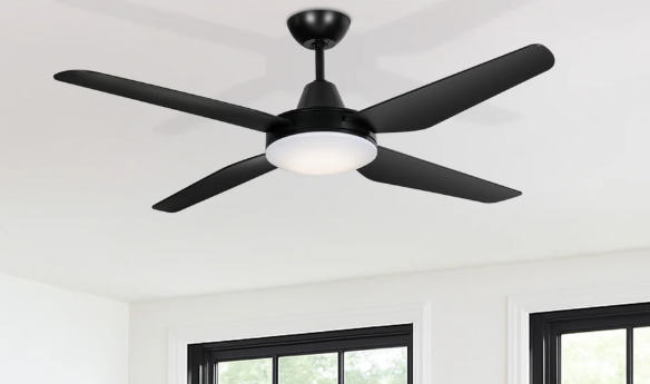 ceiling fans.png