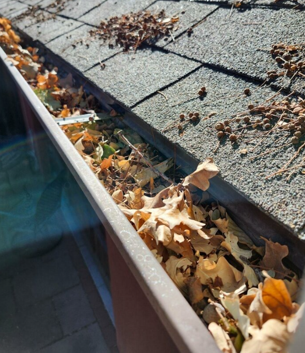 dirty gutters.png