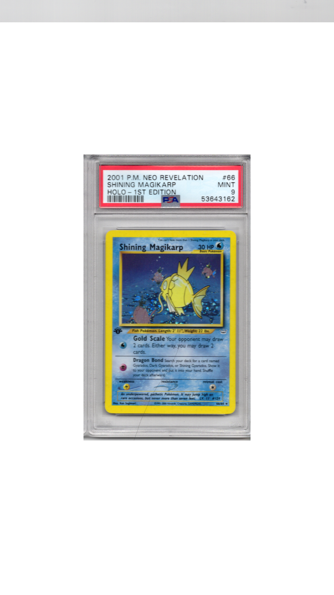 Neo Revelation #66 Shining Magikarp PSA 10