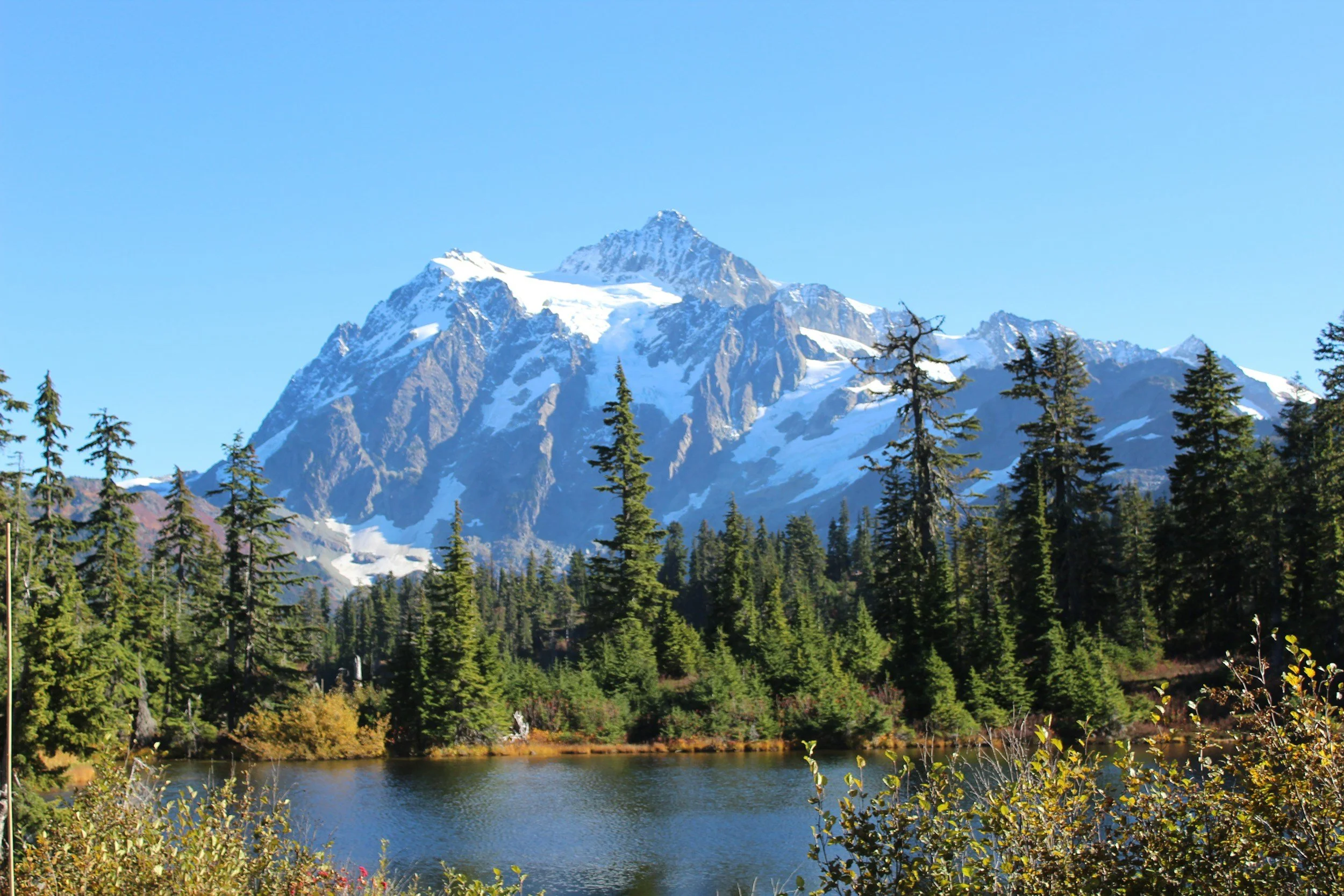 Snow-capped mountain peaks with forested slopes and a river in the foreground under a clear blue sky.