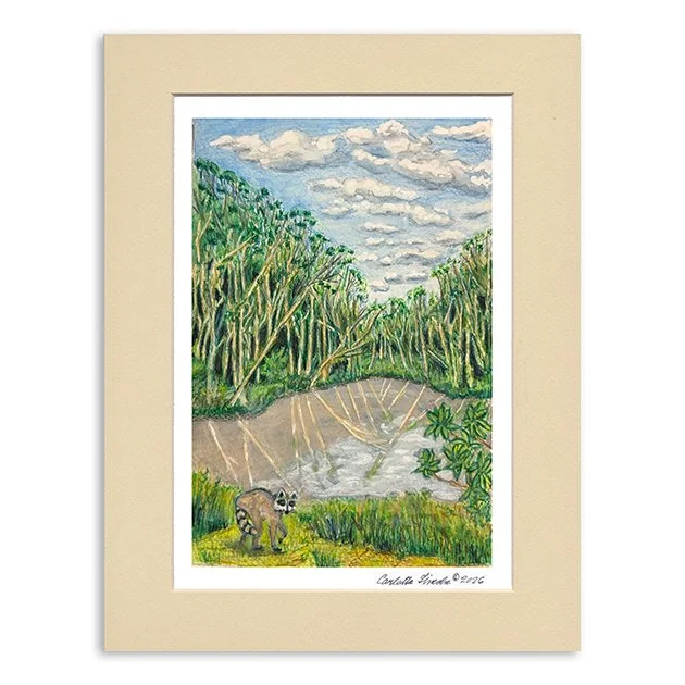 146. MAT Quarry Park Pond, Half Moon Bay.jpg