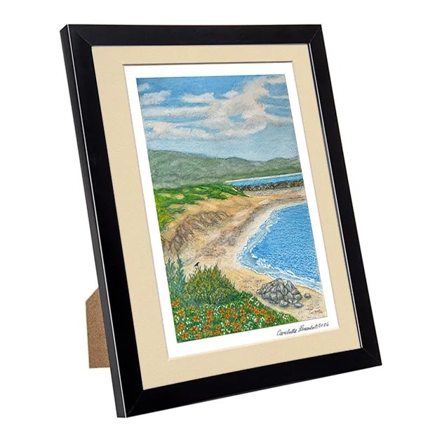 148. FRA Stroller Beach, Half Moon Bay.jpg