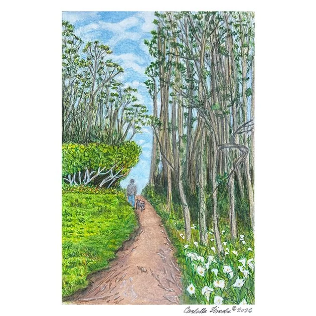 151. Walking in Quarry Park, Half Moon Bay