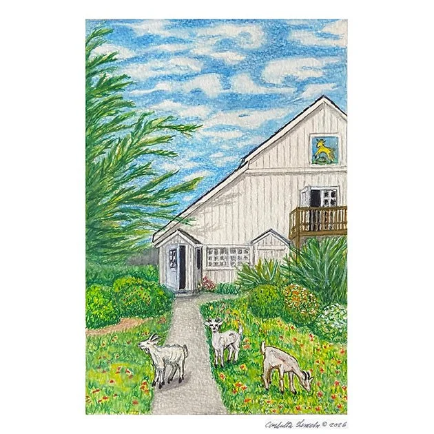 102. Goats of Half Moon Bay