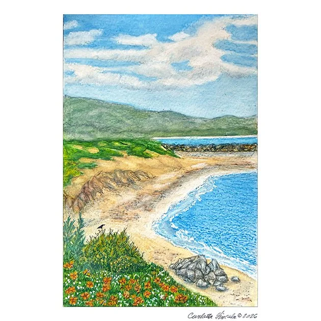 148.  Pillar Point Beach, Half Moon Bay