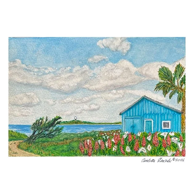 116. Coastal Cabin, Half Moon Bay