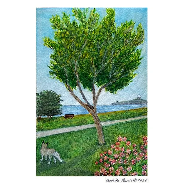 106. Silver Fox, Half Moon Bay
