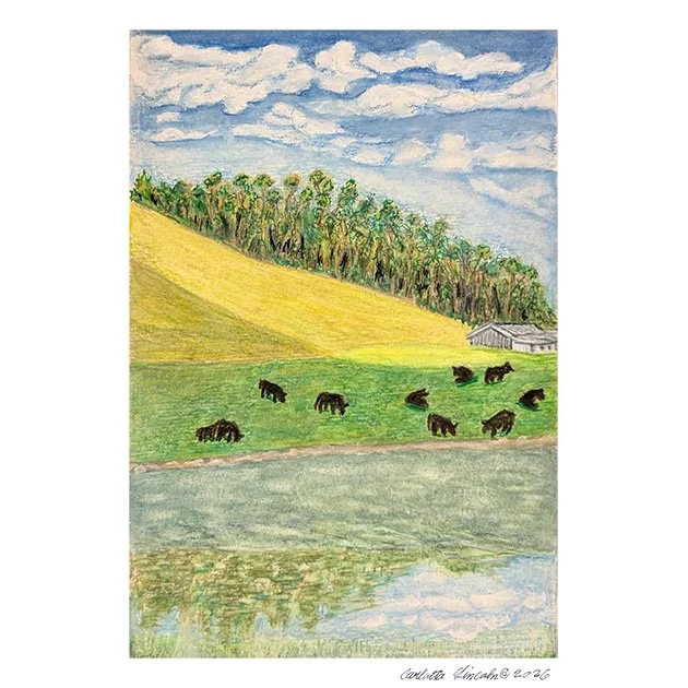 103. Cows of Half Moon Bay