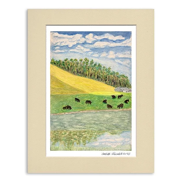 103. Cows of Half Moon Bay