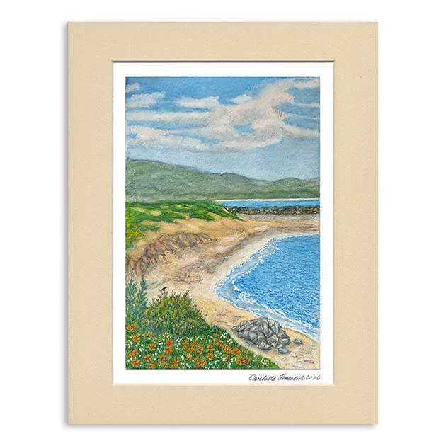 148.  Stroller Beach, Half Moon Bay