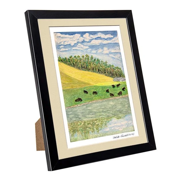 103. FRA Cows of Half Moon Bay.jpg