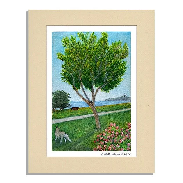 106. Silver Fox, Half Moon Bay