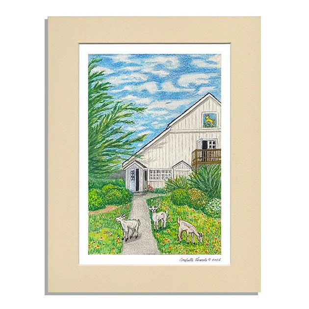 102. Goats of Half Moon Bay