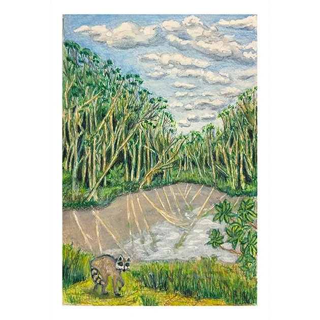 146. Quarry Park Pond, Half Moon Bay