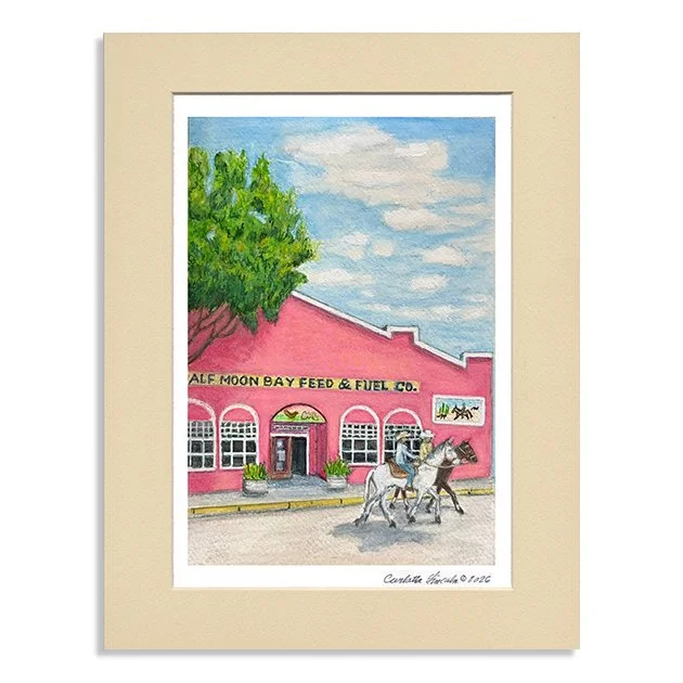 110. Feed Store, Half Moon Bay