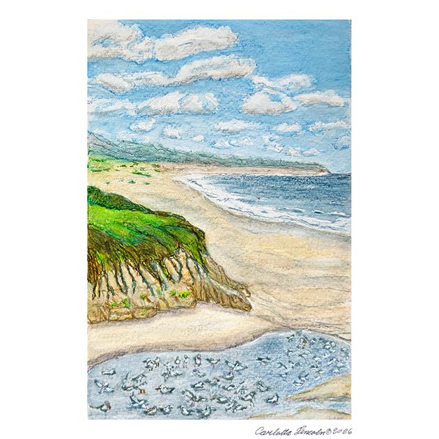 157. Venice Beach, Half Moon Bay