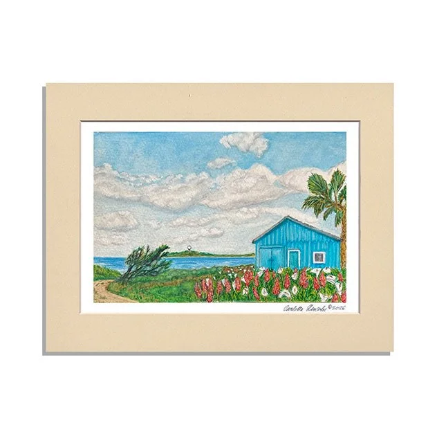 116. Coastal Cabin, Half Moon Bay