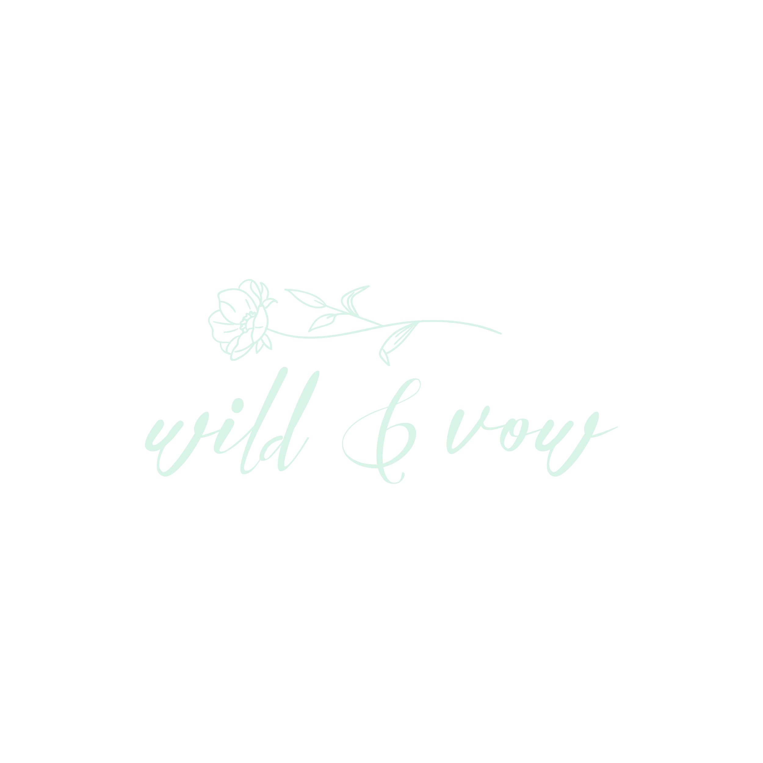 Black background with a white line drawing of a flower and the text 'wild & vow' in a cursive font.
