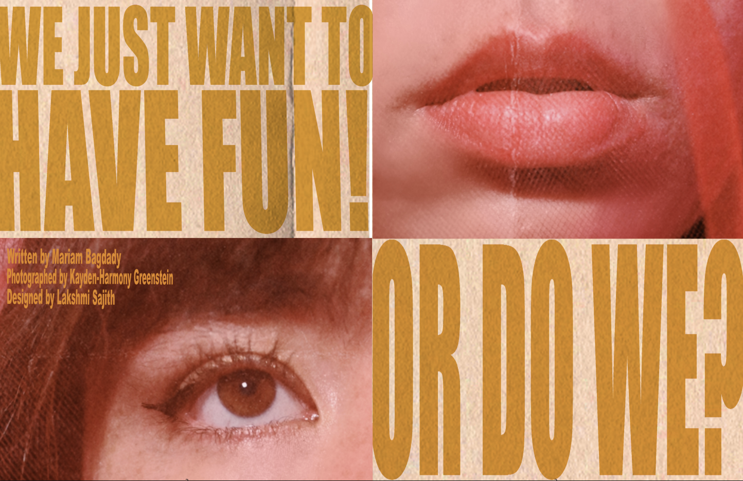 We Just Want to Have Fun!