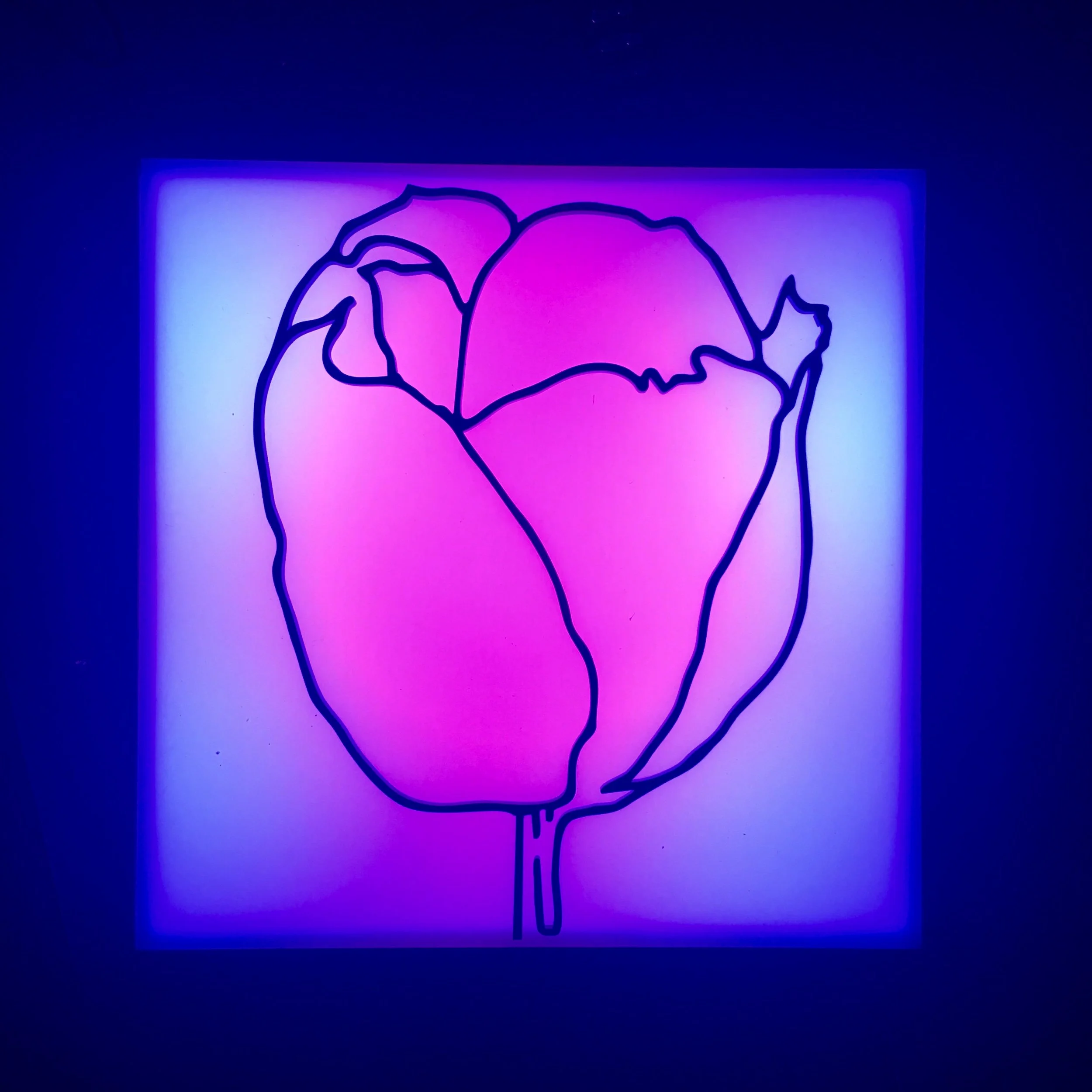 Electric Rose
carved acrylic on acrylic, led light inside wood frame
12 x 12 x 4 inches