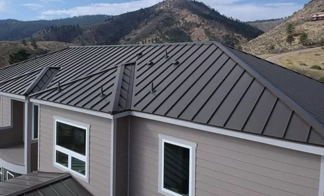 Close-up of a house's metal roof with a mountainous landscape in the background.
