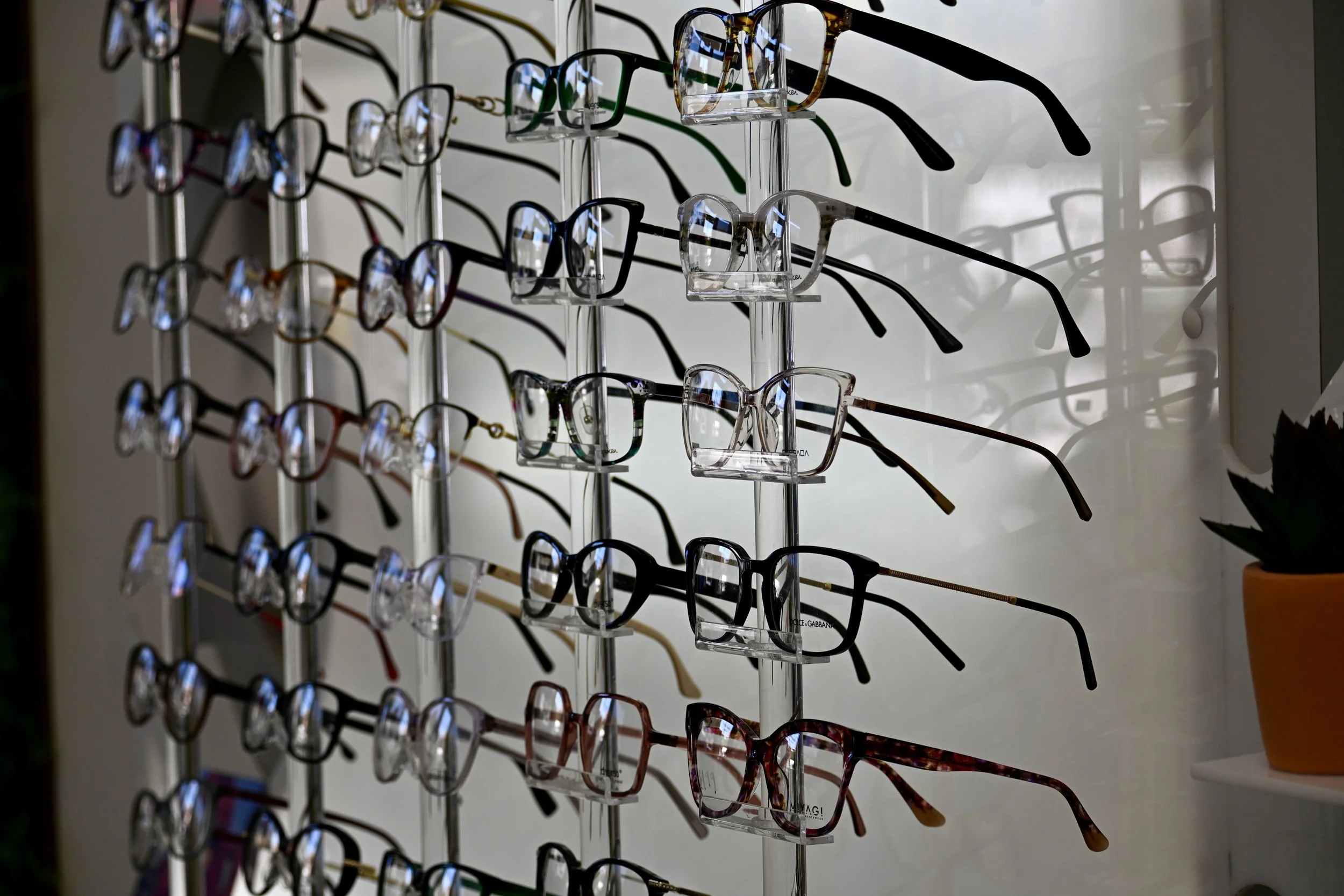 Display of multiple pairs of eyeglasses on a vertical rack, with some pairs having colorful, patterned, and clear frames, and a potted plant on the side.
