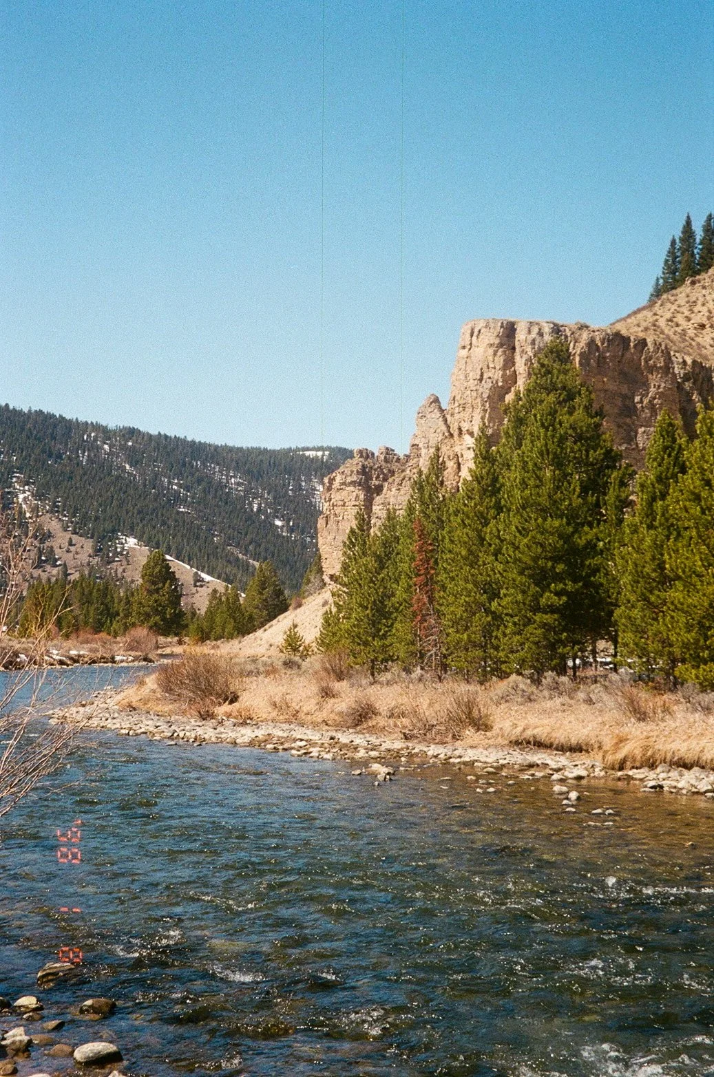 IMG_9763 2.JPG