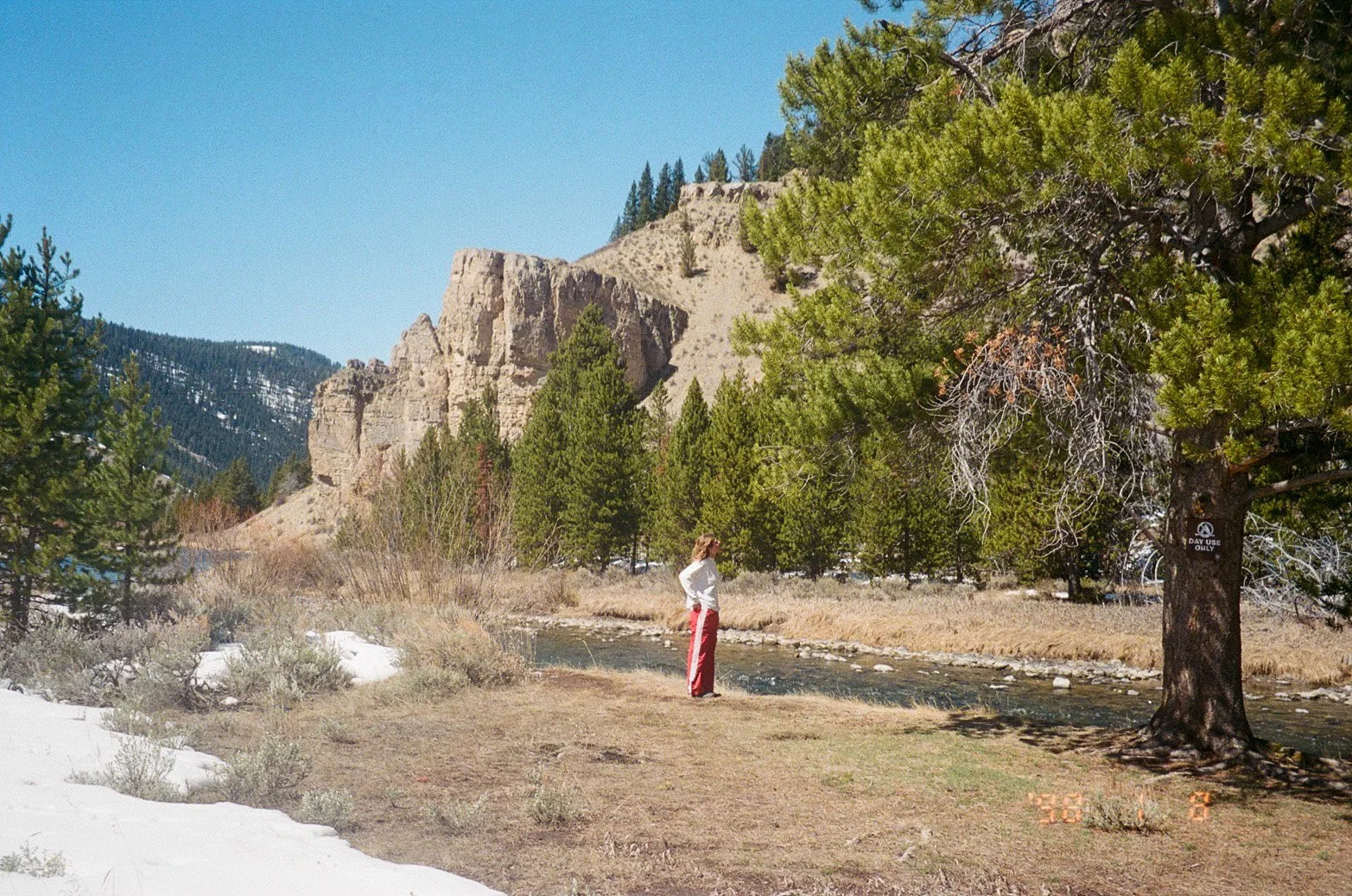 IMG_9751 2.JPG